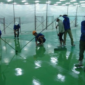 EP255 - Sơn lót Epoxy trong suốt 2